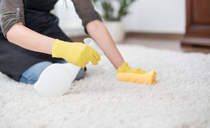 Carpet Cleaning