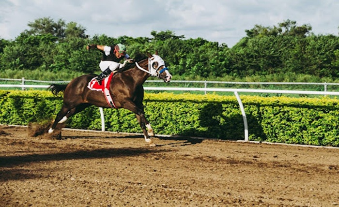 Pari-Mutuel