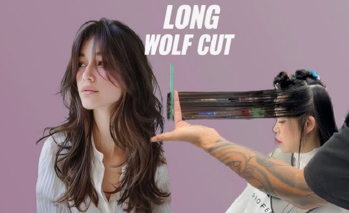 long wolf cut